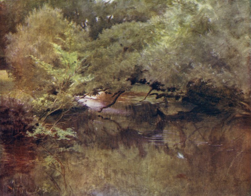 The New Forest: Rzeka Lymington w Royden, niedaleko Boldre (kolor lito) autorstwa Walter Frederick Roofe Tyndale