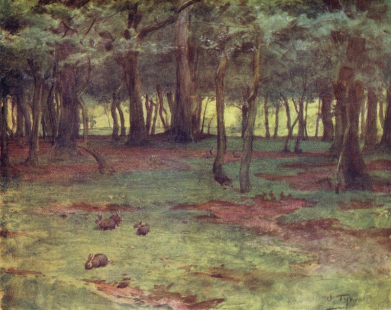 The New Forest: The Woods w Setley Plain (kolor lito) autorstwa Walter Frederick Roofe Tyndale