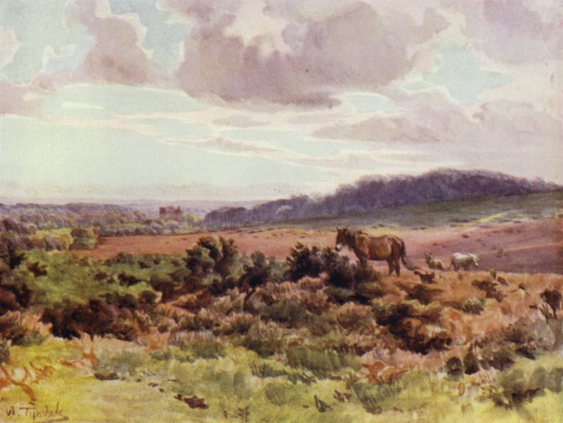 The New Forest: Widok z Picket Post na Ringwood Road (kolor lito) autorstwa Walter Frederick Roofe Tyndale