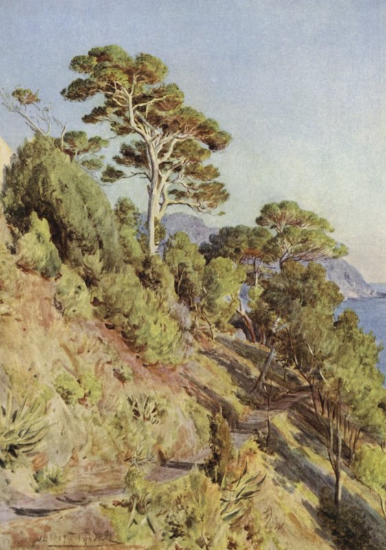 Willa Puma, Sestri Levante autorstwa Walter Frederick Roofe Tyndale