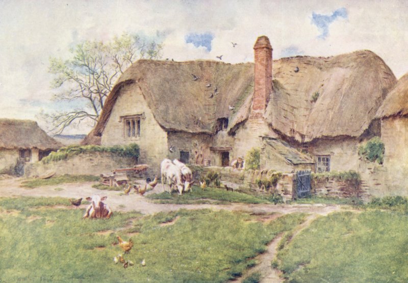 Wessex: Farma mleczna Wessex (kolorowa litografia) autorstwa Walter Frederick Roofe Tyndale
