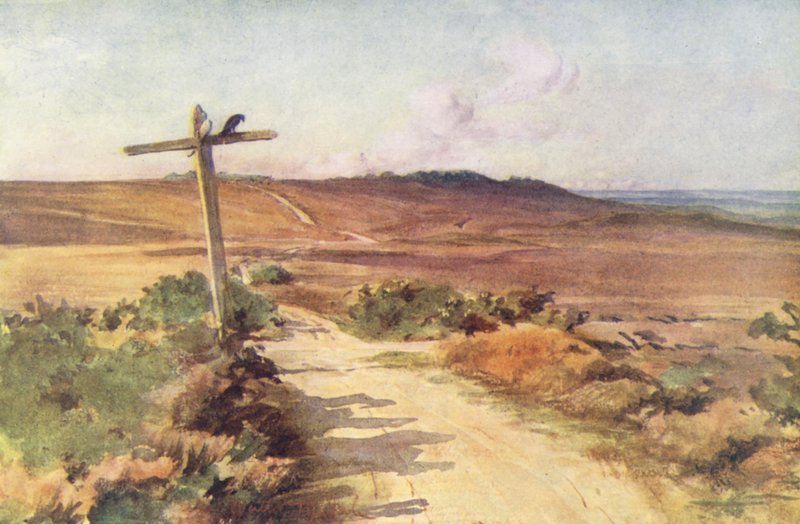 Wessex: Bere Heath jesienią, z Gallows Hill w oddali (kolorowa litografia) autorstwa Walter Frederick Roofe Tyndale