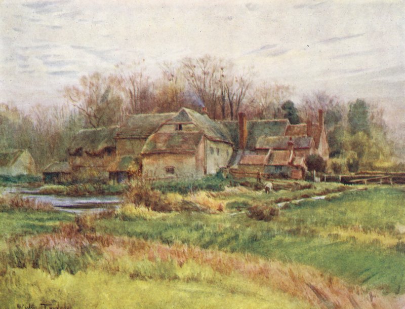Wessex: Bindon Abbey Mill (druk kolorowy) autorstwa Walter Frederick Roofe Tyndale
