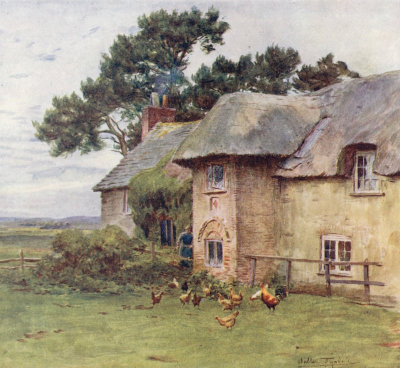 Wessex: Domki w Stoke (kolorowa litografia) autorstwa Walter Frederick Roofe Tyndale