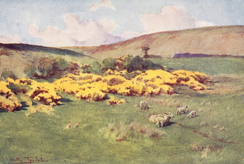 Wessex: Lato w Wessex (kolorowa litografia) autorstwa Walter Frederick Roofe Tyndale