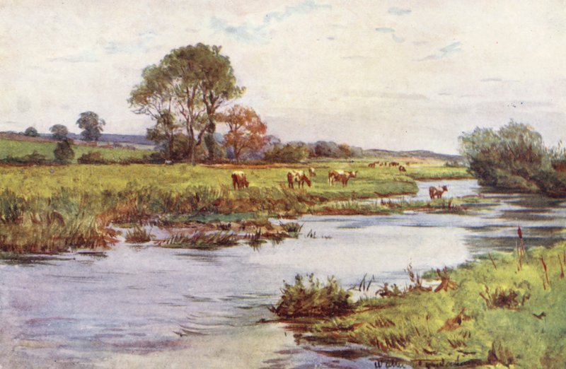 Wessex: The Frome above Dorchester, Casterbridge (kolorowa litografia) autorstwa Walter Frederick Roofe Tyndale