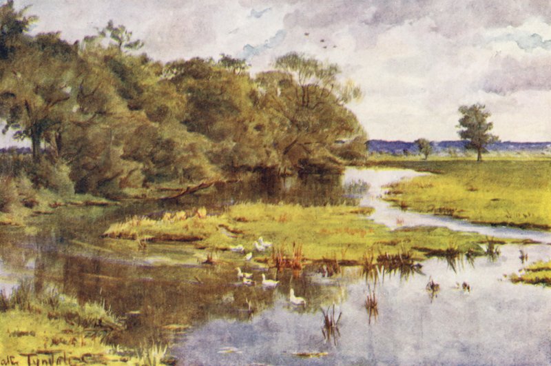Wessex: The Frome from Bockhampton Bridge (kolorowa litografia) autorstwa Walter Frederick Roofe Tyndale