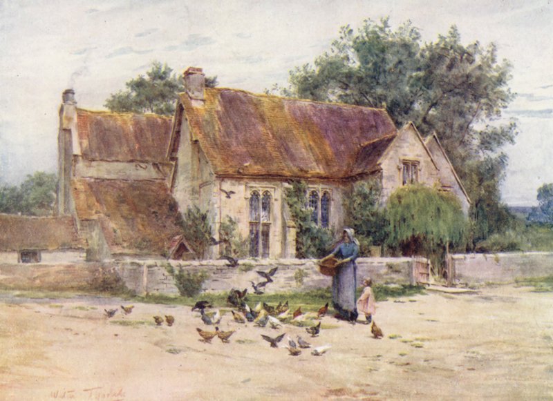 Wessex: Woodlands near Mere, Wilts (kolorowa litografia) autorstwa Walter Frederick Roofe Tyndale