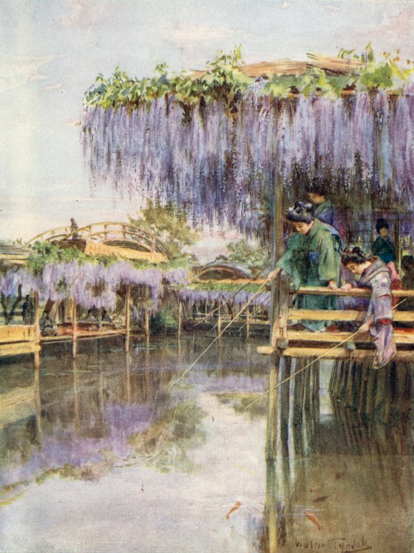 Wistaria w Kameido autorstwa Walter Frederick Roofe Tyndale