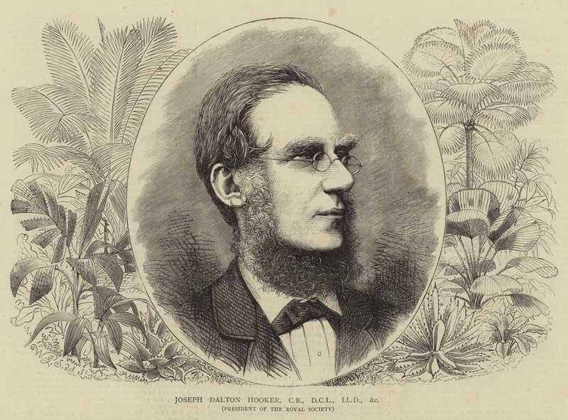 Joseph Dalton Hooker, CB, DCL, LLD itp. autorstwa Walter Granville Smith