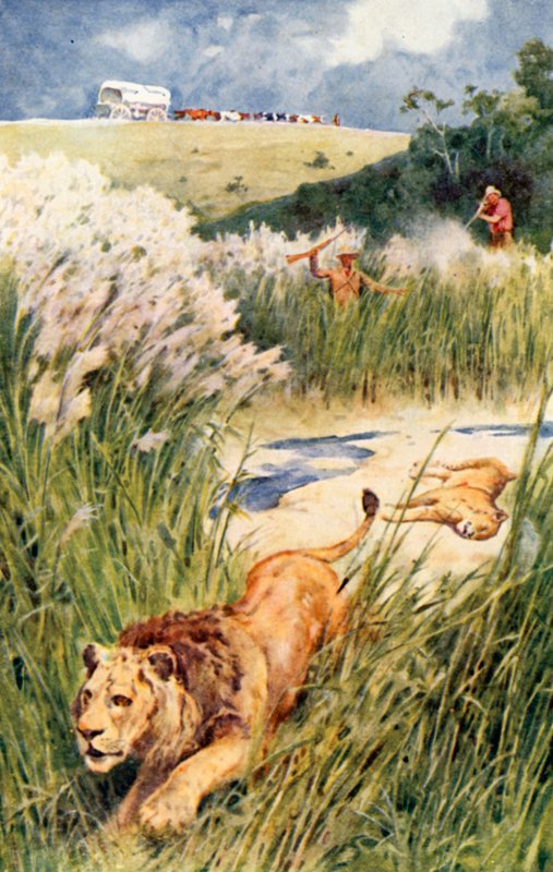 Burowie Partii śmiało walczyli z lwem i lwicą autorstwa Walter Stanley Paget