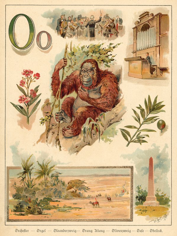 Litera O (chromolitho) autorstwa Walter Zweigle