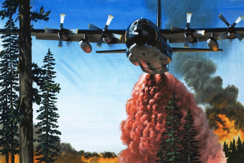 Bombardowanie pożaru lasu autorstwa Wilf (20th century) Hardy