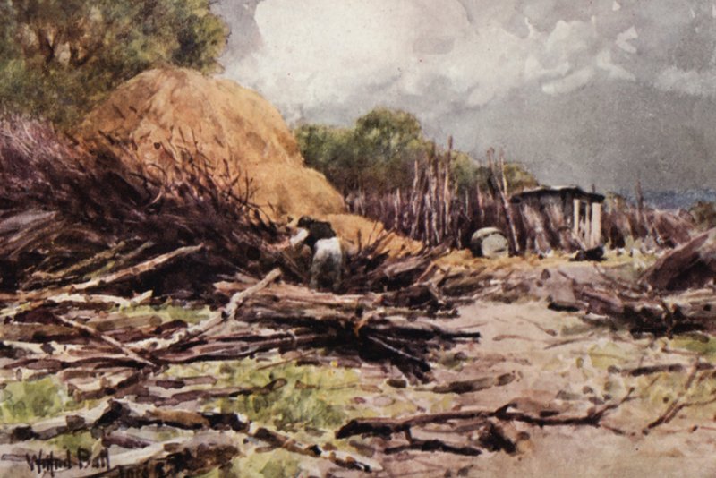 Japheth at Work (kolorowa litografia) autorstwa Wilfrid Williams Ball