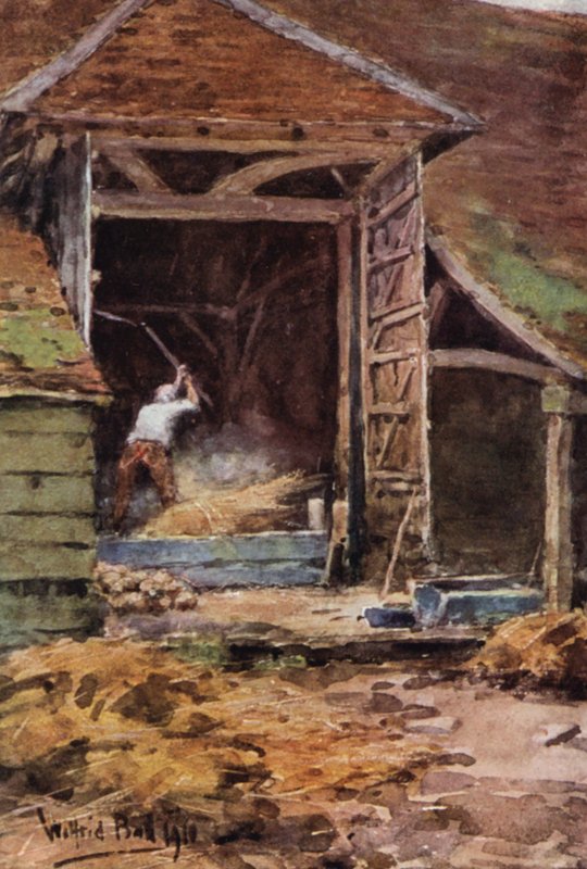 Old Abe, Flailing (kolorowa litografia) autorstwa Wilfrid Williams Ball