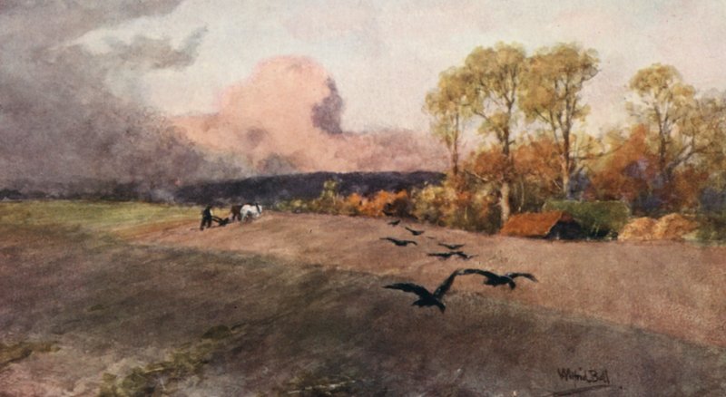 Orka (kolorowa litografia) autorstwa Wilfrid Williams Ball