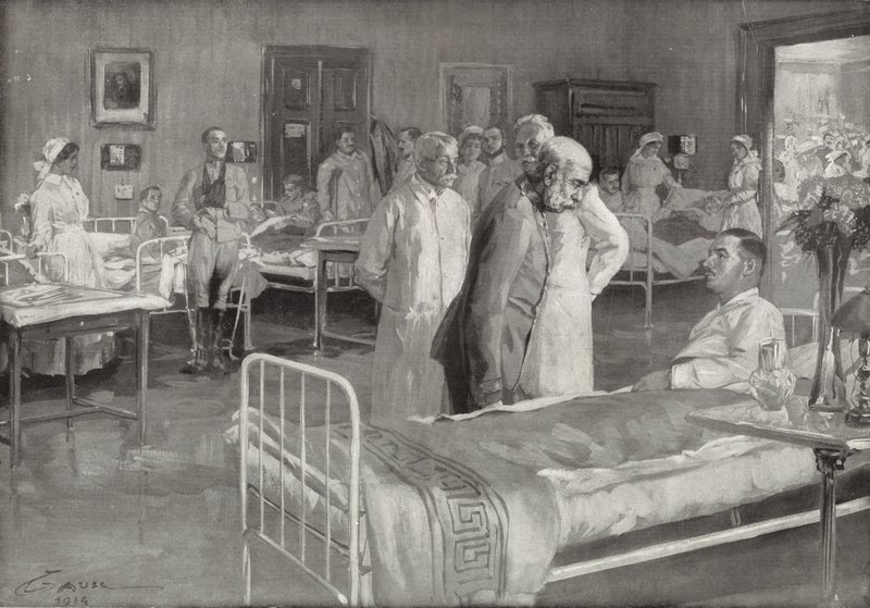 Wizyta Franciszka Józefa z Austrii w szpitalu wojskowym w Wiedniu autorstwa Wilhelm Gause