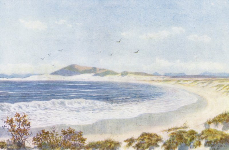 Blaauwberg i głowa Zatoki Stołowej (kolorowa litografia) autorstwa Wilhelm Westhofen