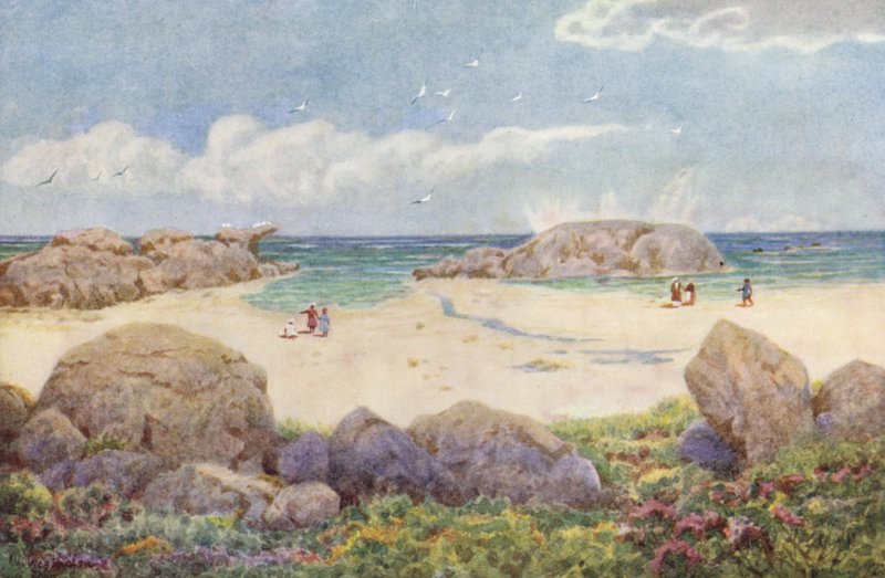 Camps Bay, na Victoria Road (kolorowa litografia) autorstwa Wilhelm Westhofen