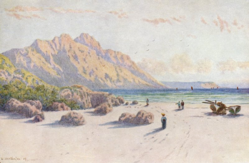Chapman