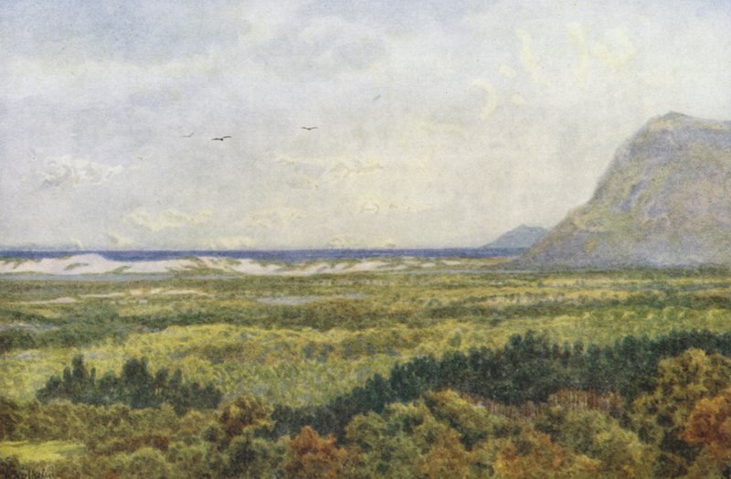 Constantia Valley i False Bay, z Cape Point (kolorowa litografia) autorstwa Wilhelm Westhofen