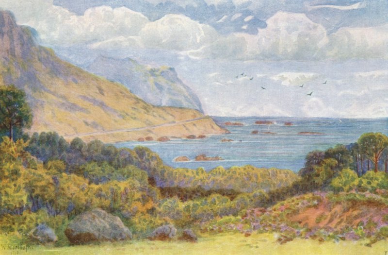 Na Victoria Road, w pobliżu Oude Kraal (kolorowa litografia) autorstwa Wilhelm Westhofen