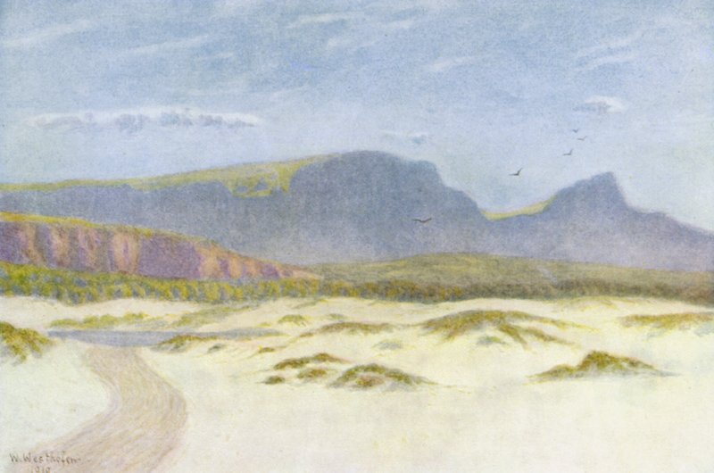 Wydmy piaskowe (kolorowa litografia) autorstwa Wilhelm Westhofen