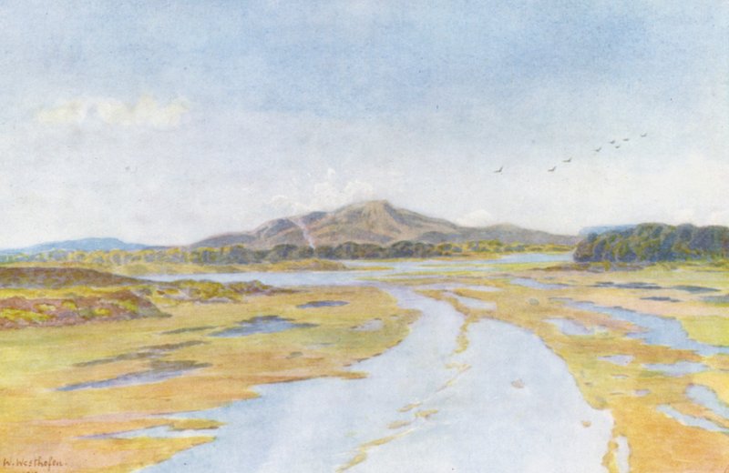 Tigerberg i rzeka Diep (kolorowa litografia) autorstwa Wilhelm Westhofen