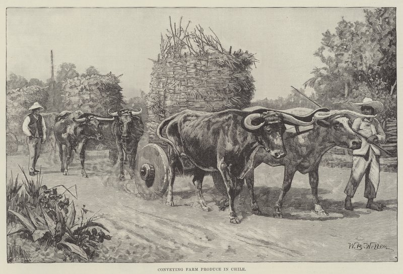 Przenoszenie produktów rolnych w Chile autorstwa William Barnes Wollen