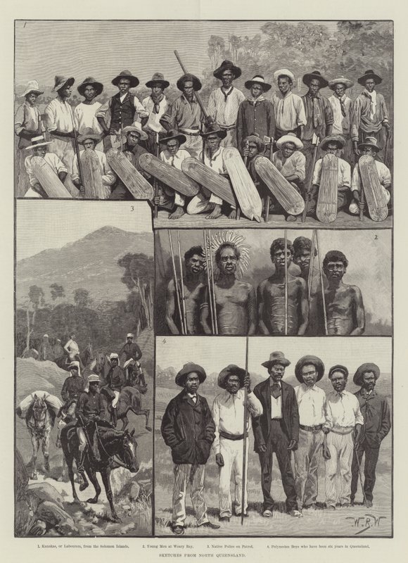 Szkice z Północnego Queensland autorstwa William Barnes Wollen
