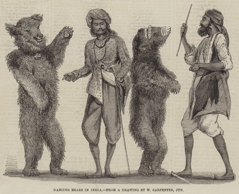 Tańczące niedźwiedzie w Indiach autorstwa William Carpenter