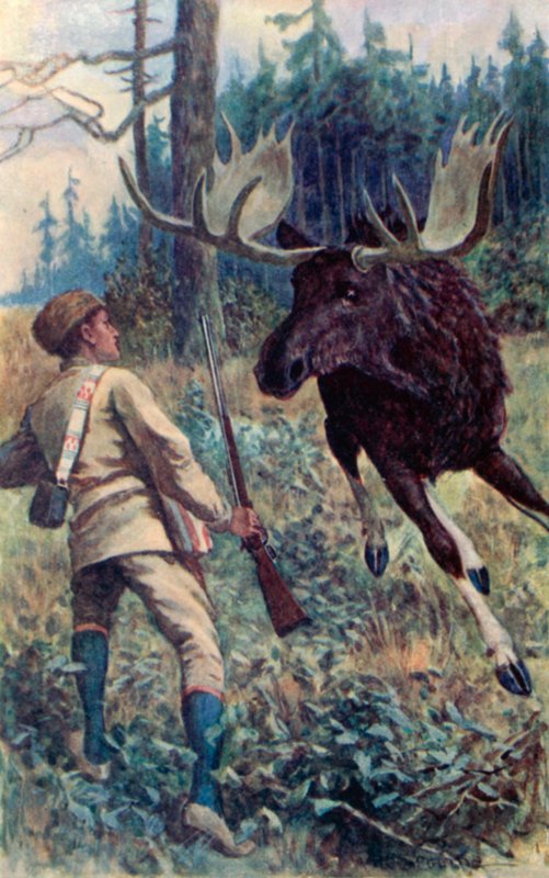 Łoś skoczył na niego autorstwa William Henry Charles Groome