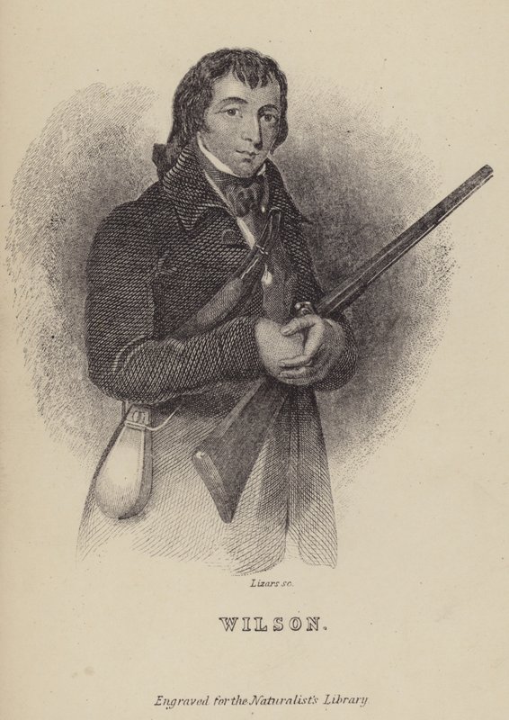 Alexander Wilson, szkocki ornitolog autorstwa William Home Lizars