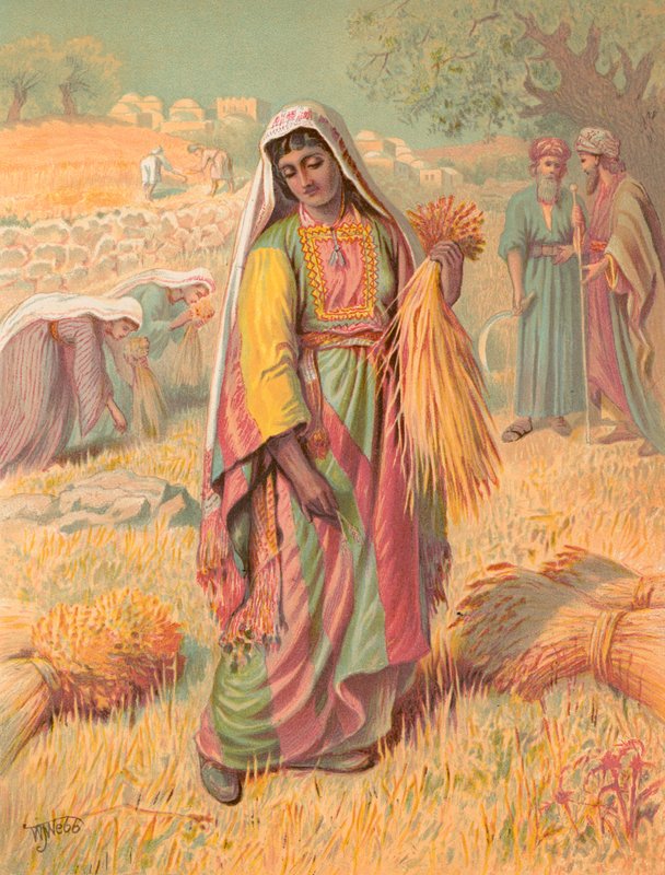 روت پولی autorstwa William J. Webbe or Webb