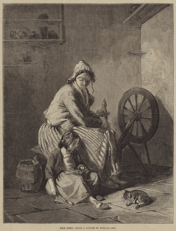 Zwierzęta autorstwa William Lee