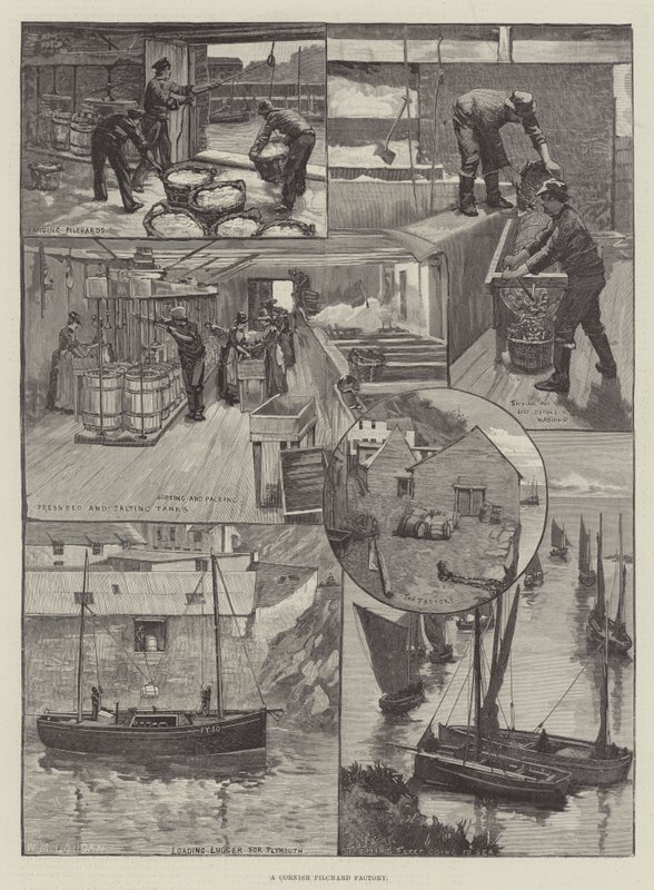 Fabryka kornwalijskich sardeli autorstwa William Mouat Loudan