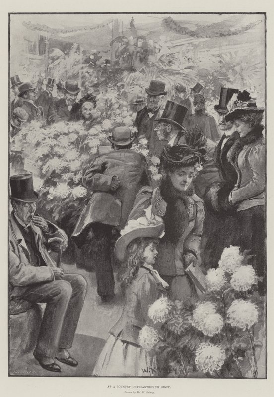 Na wiejskiej wystawie chryzantem autorstwa William Rainey
