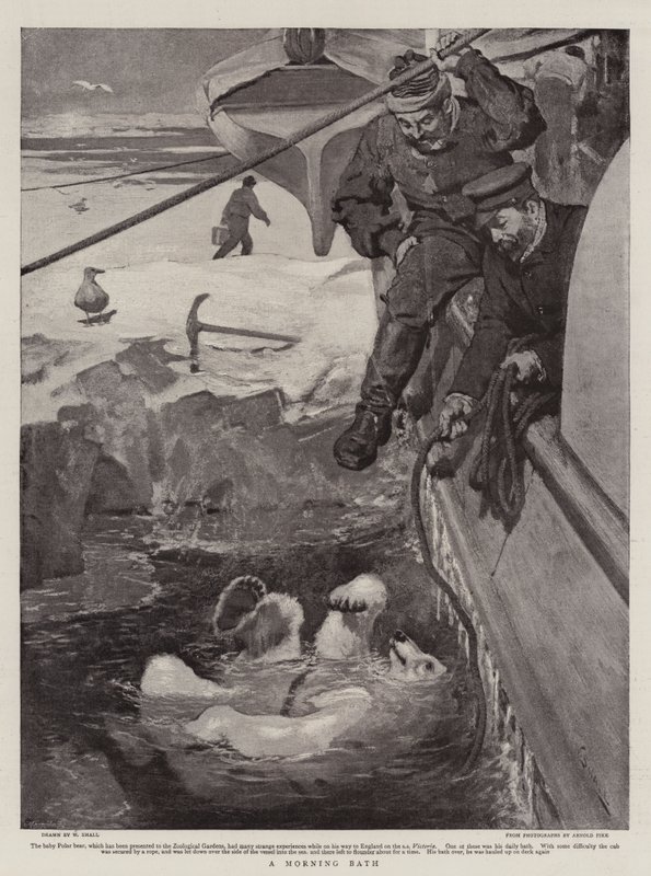 Poranna kąpiel autorstwa William Small