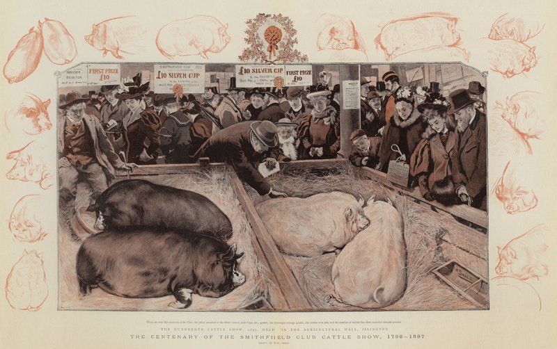 Stulecie Smithfield Club Cattle Show, 1798-1897 autorstwa William Small