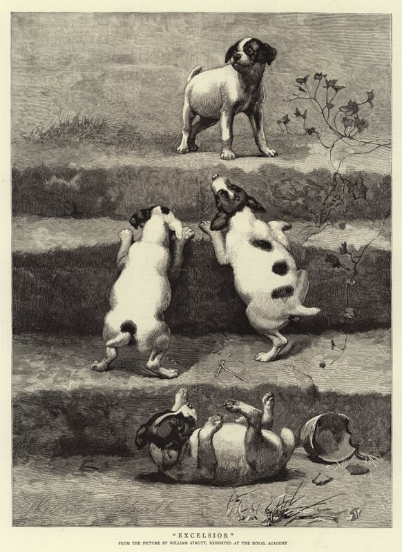 Excelsior autorstwa William Strutt