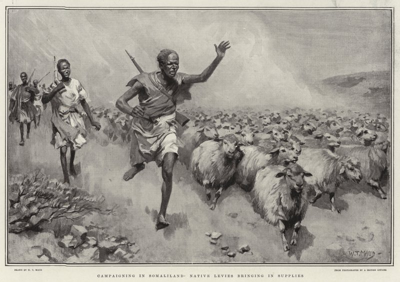 Kampania w Somalilandzie Native Levies przynoszący zapasy autorstwa William T. Maud