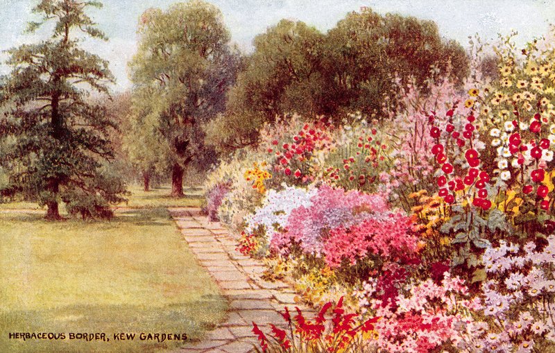 Granica zielna, ogrody Kew autorstwa William Affleck Carruthers