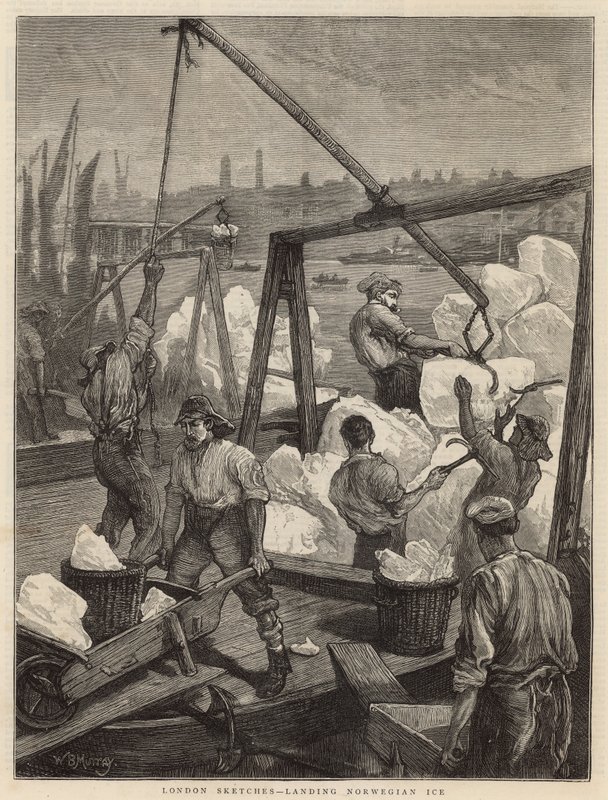 Lądowanie na lodzie norweskim (grawerowanie) autorstwa William Bazett Murray