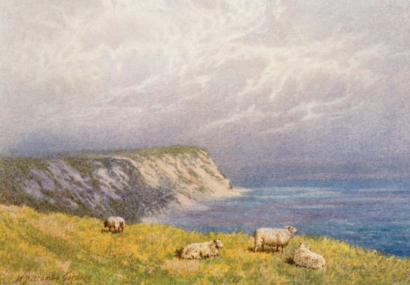 Klif Opata nad Warren, wzgórze Folkestone (kolorowa litografia) autorstwa William Biscombe Gardner