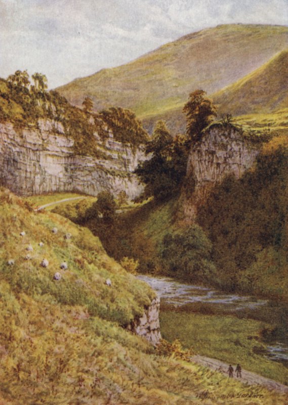 W Miller