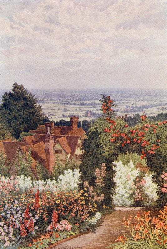The Weald from the Doctor