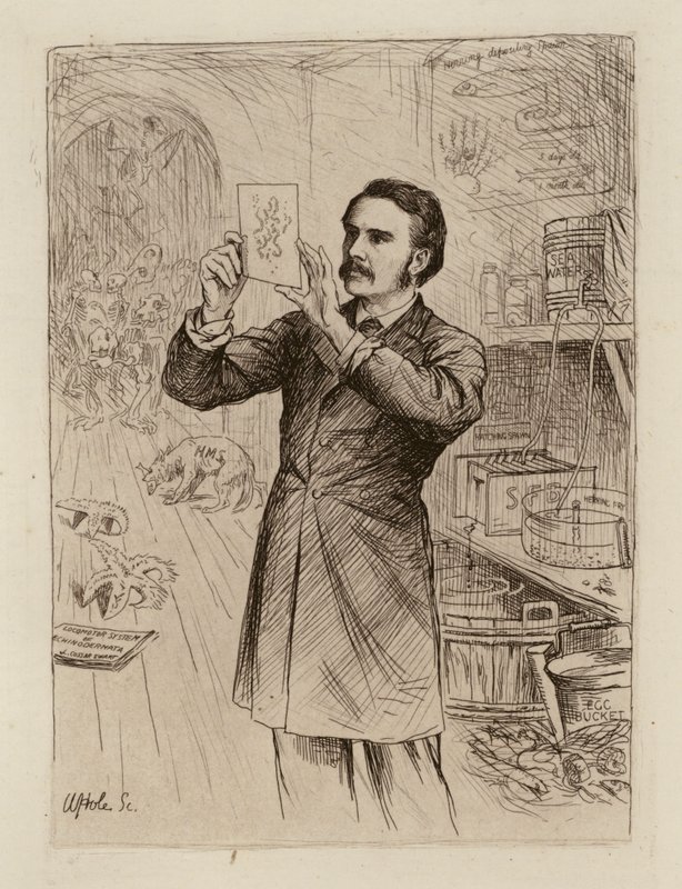 James Cossar Ewart, profesor historii naturalnej (rycina) autorstwa William Brassey (after) Hole