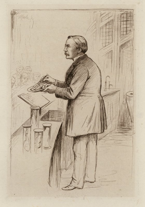 William Smith Greenfield, profesor patologii ogólnej (rycina) autorstwa William Brassey (after) Hole