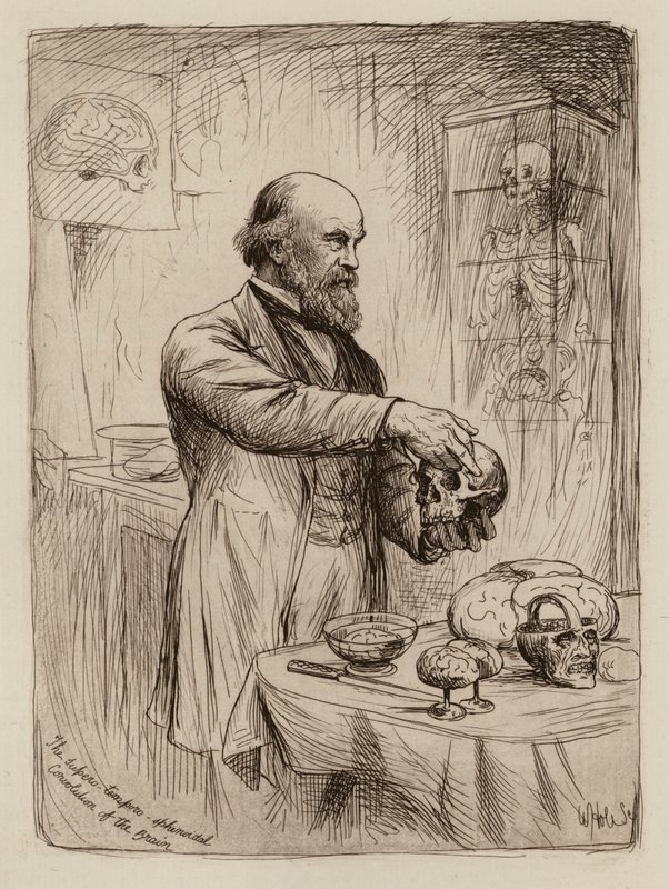 William Turner, profesor anatomii (rycina) autorstwa William Brassey (after) Hole