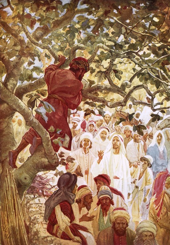 Jezus wzywający celnika Zacheusza, aby go gościł w swoim domu autorstwa William Brassey Hole